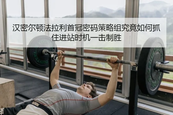 han-mi-er-dun-fa-la-li-shou-guan-mi-ma-ce-lve-zu-jiu-jing-ru-he-zhua-zhu-jin-zhan-shi-ji-yi-ji-zhi-sheng-2-304.jpg